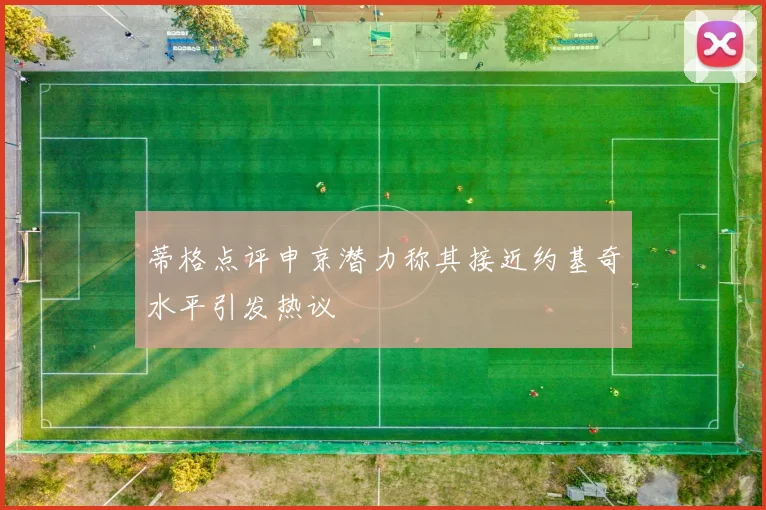 蒂格点评申京潜力称其接近约基奇水平引发热议