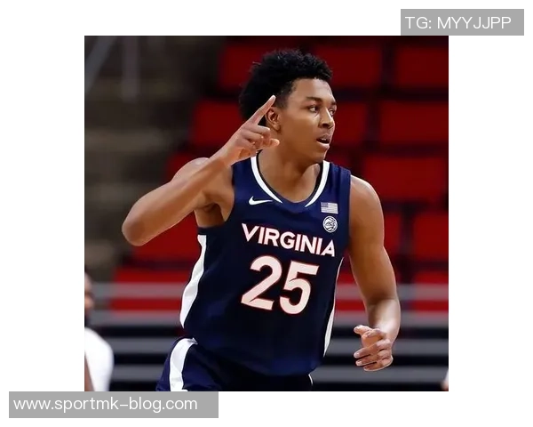 拓媒分析休赛期潜在投手选择小波特马尔卡宁墨菲助力球队重建